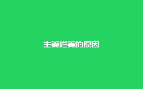 生姜烂姜的原因