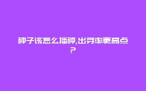 种子该怎么播种,出芽率更高点?