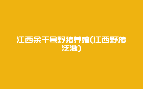 江西余干县野猪养殖(江西野猪泛滥)