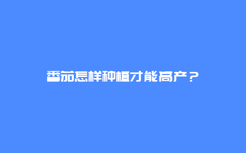 番茄怎样种植才能高产？