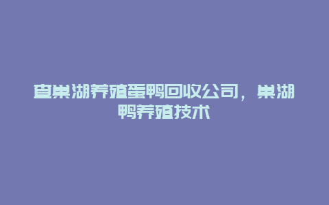 查巢湖养殖蛋鸭回收公司，巢湖鸭养殖技术