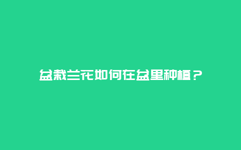 盆栽兰花如何在盆里种植？