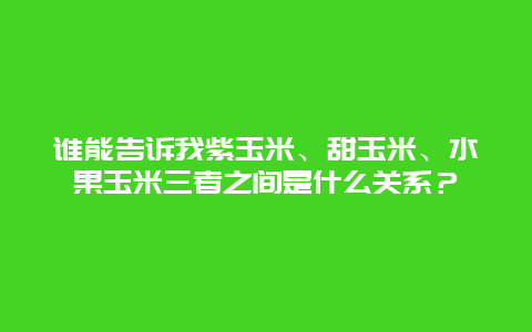 谁能告诉我紫玉米、甜玉米、水果玉米三者之间是什么关系？