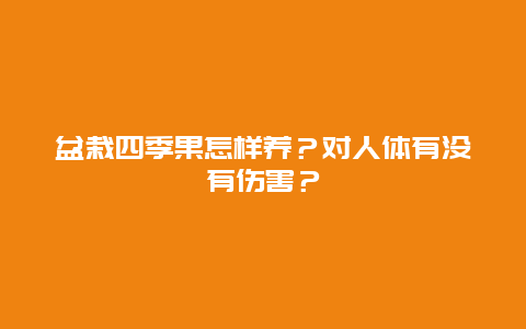 盆栽四季果怎样养？对人体有没有伤害？