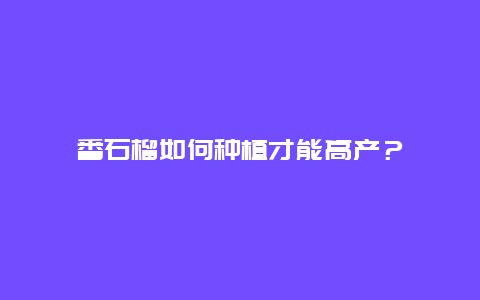 番石榴如何种植才能高产？