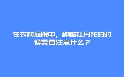 在农村庭院中，种植牡丹花的时候需要注意什么？