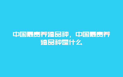 中国最贵养殖品种，中国最贵养殖品种是什么