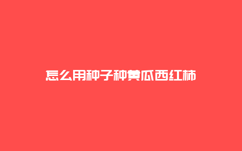 怎么用种子种黄瓜西红柿