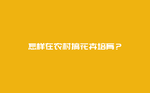 怎样在农村搞花卉培育？