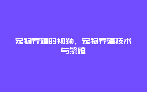 宠物养殖的视频，宠物养殖技术与繁殖