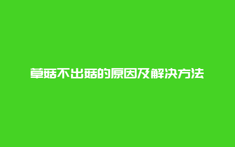 草菇不出菇的原因及解决方法