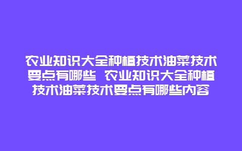 农业知识大全种植技术油菜技术要点有哪些 农业知识大全种植技术油菜技术要点有哪些内容