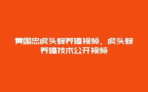 黄国忠虎头蜂养殖视频，虎头蜂养殖技术公开视频