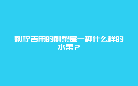 刺柠吉用的刺梨是一种什么样的水果？