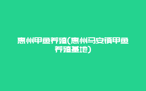 惠州甲鱼养殖(惠州马安镇甲鱼养殖基地)