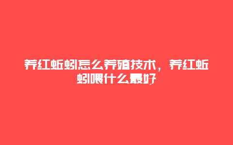 养红蚯蚓怎么养殖技术，养红蚯蚓喂什么最好