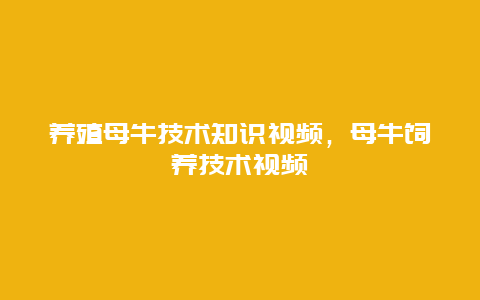 养殖母牛技术知识视频，母牛饲养技术视频