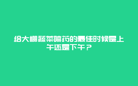 给大棚蔬菜喷药的最佳时候是上午还是下午？