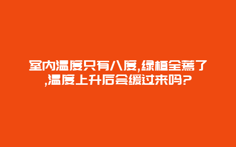 室内温度只有八度,绿植全蔫了,温度上升后会缓过来吗?