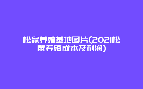 松鼠养殖基地图片(2021松鼠养殖成本及利润)