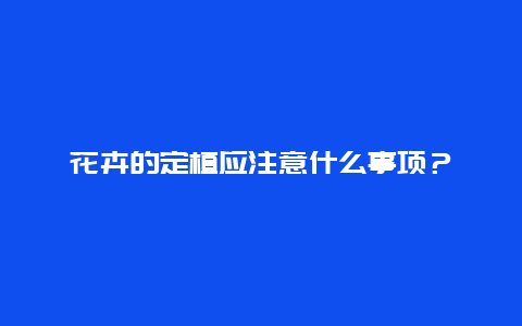 花卉的定植应注意什么事项？