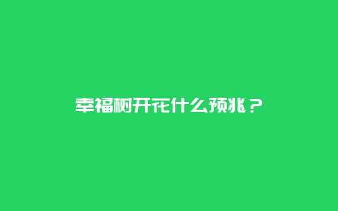 幸福树开花什么预兆？