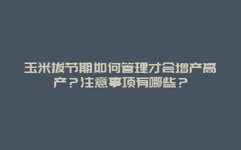 玉米拔节期如何管理才会增产高产？注意事项有哪些？