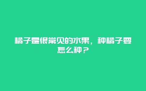 橘子是很常见的水果，种橘子要怎么种？