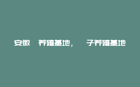 安徽獾养殖基地，獾子养殖基地