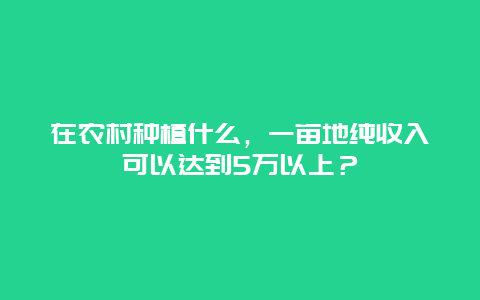 在农村种植什么，一亩地纯收入可以达到5万以上？