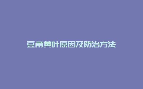 豆角黄叶原因及防治方法