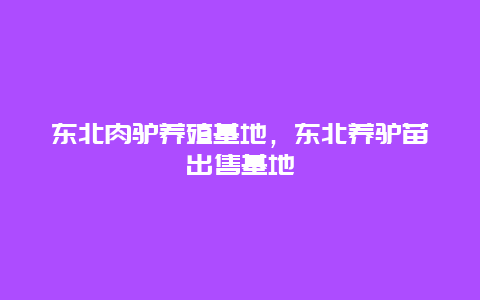 东北肉驴养殖基地，东北养驴苗出售基地