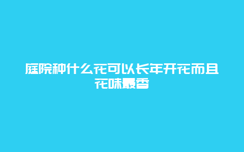 庭院种什么花可以长年开花而且花味最香