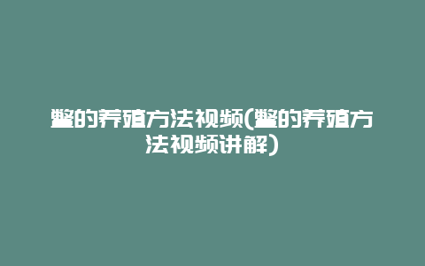 鳖的养殖方法视频(鳖的养殖方法视频讲解)