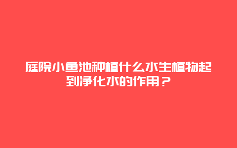 庭院小鱼池种植什么水生植物起到净化水的作用？