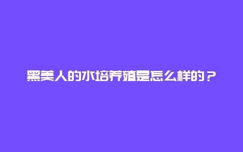 黑美人的水培养殖是怎么样的？