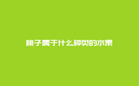 桃子属于什么种类的水果