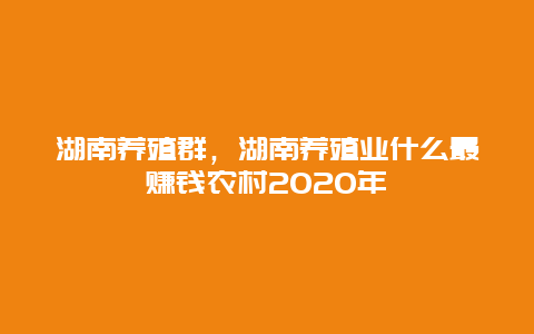 湖南养殖群，湖南养殖业什么最赚钱农村2020年