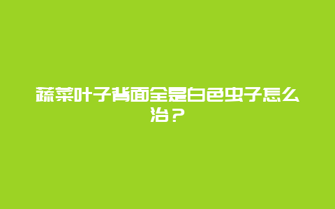 蔬菜叶子背面全是白色虫子怎么治？