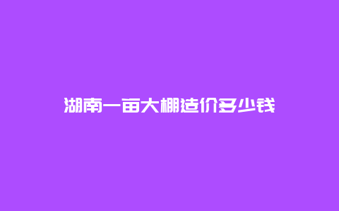 湖南一亩大棚造价多少钱