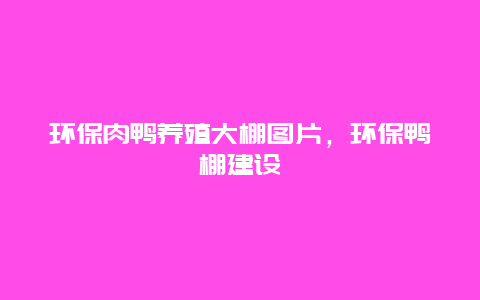 环保肉鸭养殖大棚图片，环保鸭棚建设