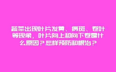 蔬菜出现叶片发黄、病斑、卷叶等现象，叶片向上和向下卷是什么原因？怎样预防和根治？