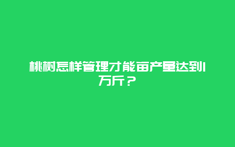 桃树怎样管理才能亩产量达到1万斤？