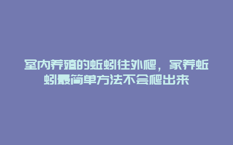 室内养殖的蚯蚓往外爬，家养蚯蚓最简单方法不会爬出来