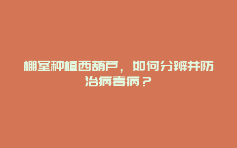 棚室种植西葫芦，如何分辨并防治病毒病？