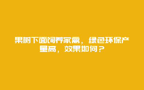 果树下面饲养家禽，绿色环保产量高，效果如何？