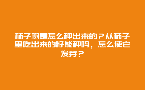 柿子树是怎么种出来的？从柿子里吃出来的籽能种吗，怎么使它发芽？