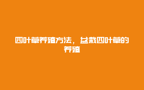 四叶草养殖方法，盆栽四叶草的养殖