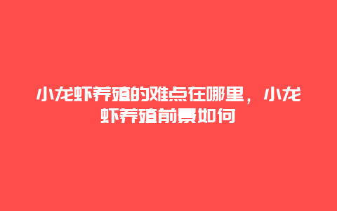 小龙虾养殖的难点在哪里，小龙虾养殖前景如何