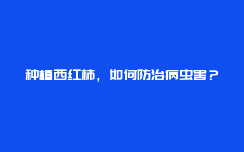 种植西红柿，如何防治病虫害？